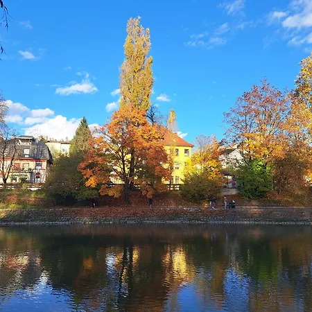 Six In The Apartment, Apartman *